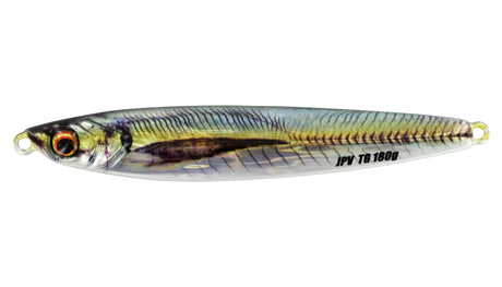Vertical Jigging for Dog Days Stripers