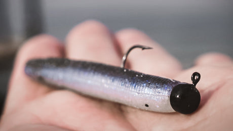 What is a Ned Rig?