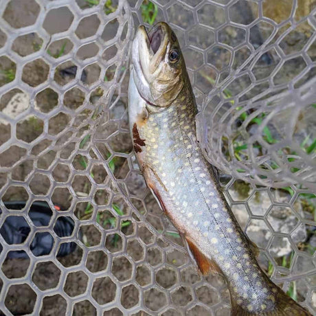 Lead Lining for Trout in the Dog Days of Summer