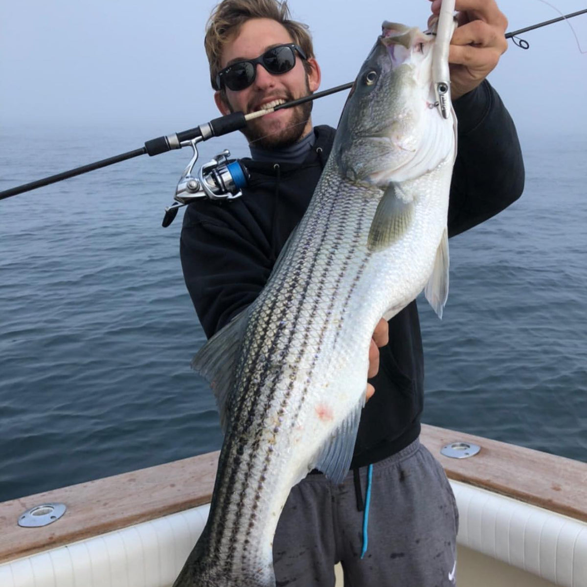 RONZ AT THE GOOSE – The Mighty Fish