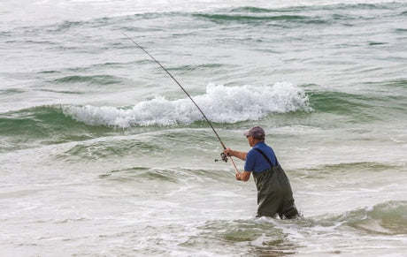 Getting Started in Surf Fishing on Cape Cod