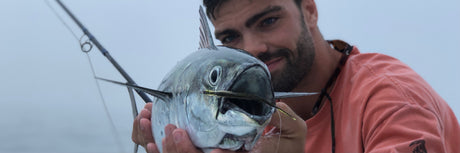 Albie and Bonito Favorites