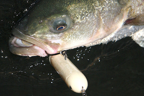 Topwater