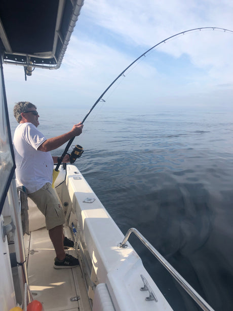 Tuna Jig and Pop Collection