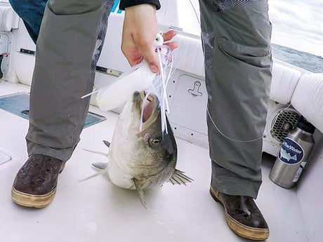 Trolling (Stripers)