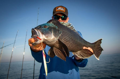 Seabass Fishing
