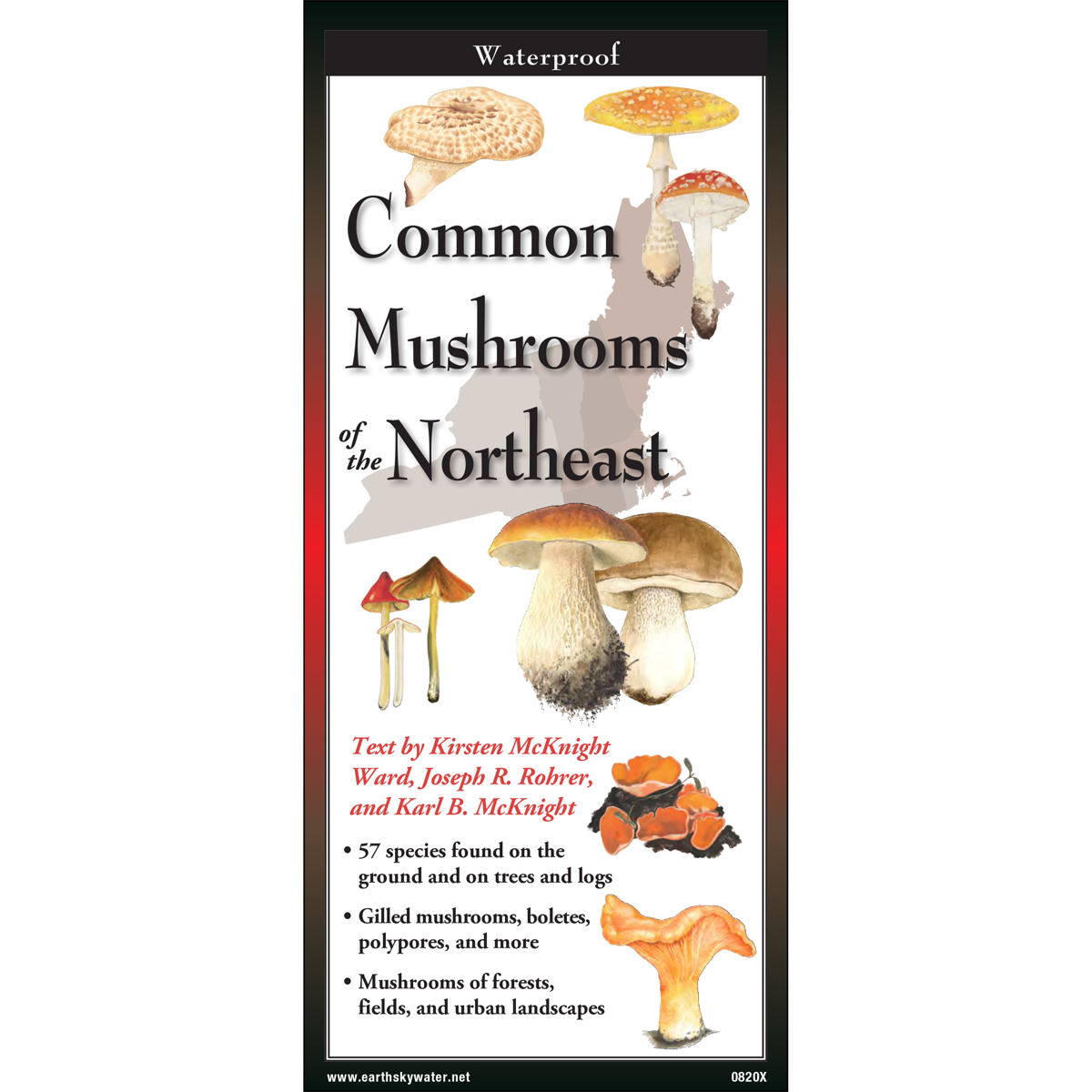 COMMON MUSHROOMS OF THE NORTHEAST FOLDING GUIDE