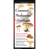 COMMON MUSHROOMS OF THE NORTHEAST FOLDING GUIDE