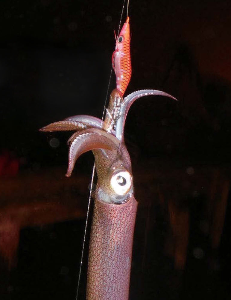 YO-ZURI SQUID LEADER 12 LB CLEAR 55" 1 PACK