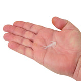 BERKLEY POWERBAIT TRILOBITE 1.5"