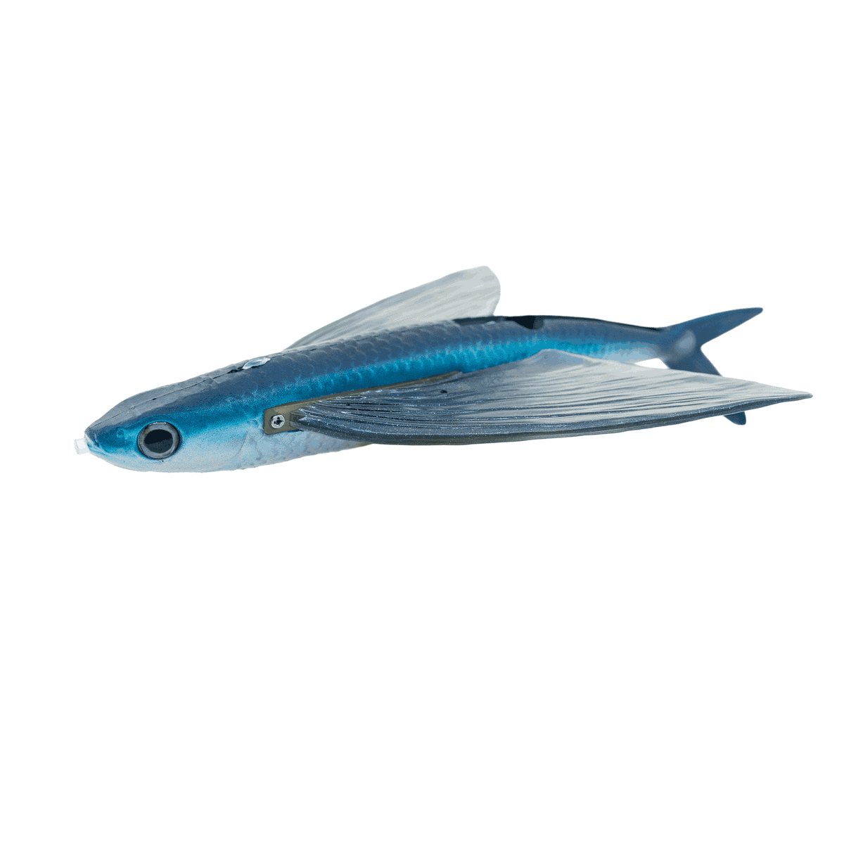 CALIFORNIA FLYER DELTA 350 – The Mighty Fish
