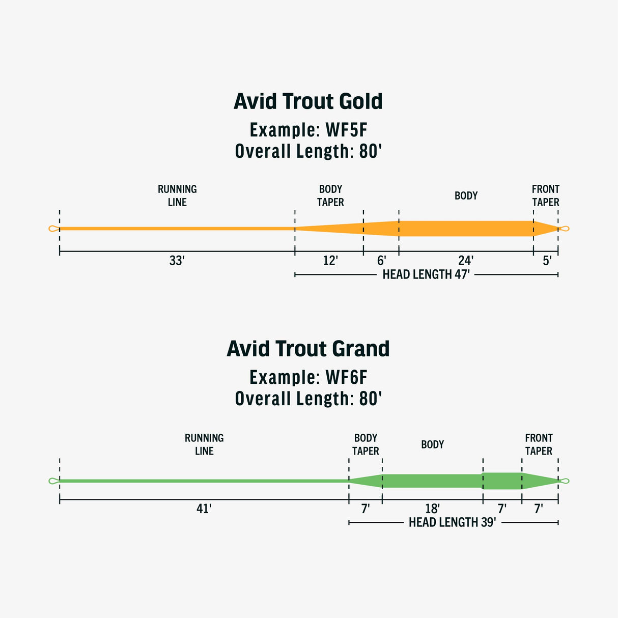 RIO AVID TROUT GOLD WF7F