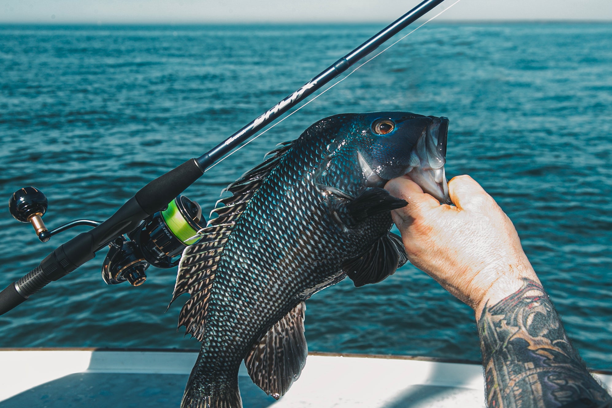 VAGABOND　MillionFish　CASTING GRIP Bass - Sensation Tackle