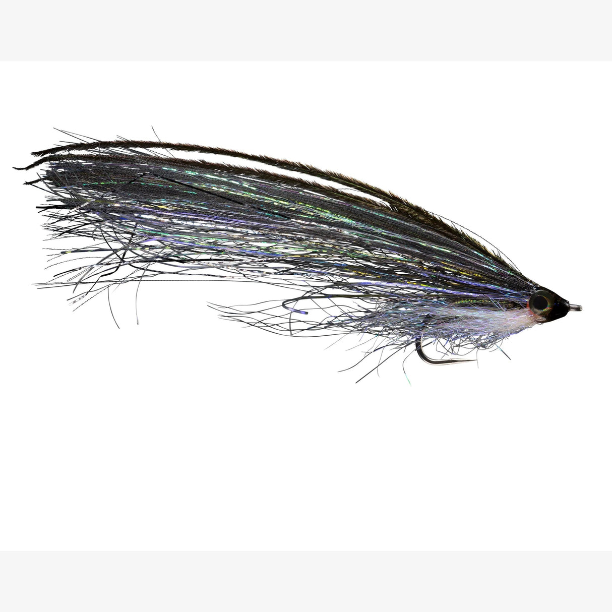 RIO PipeEel Black 2