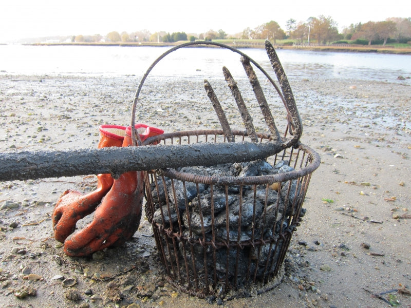 DELMAR CLAMMING COMBO