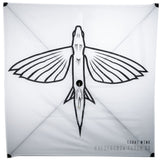 CALIFORNIA FLYER CO. LIGHT WIND FISHING KITE