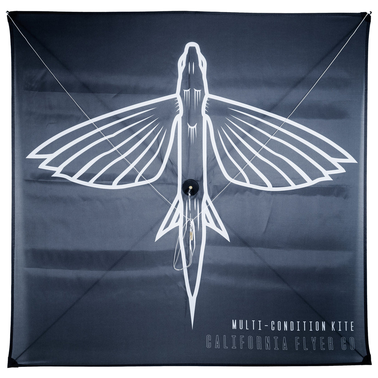 CALIFORNIA FLYER CO. MULTI-CONDITION FISHING KITE