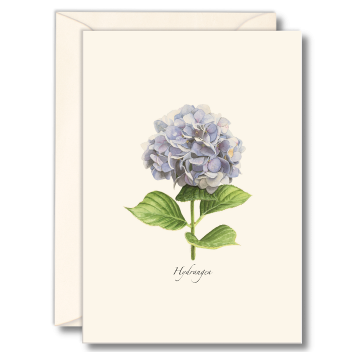 EARTH SKY & WATER NOTECARD