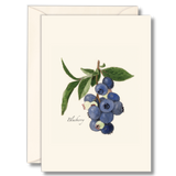 EARTH SKY & WATER NOTECARD