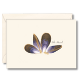 EARTH SKY & WATER NOTECARD