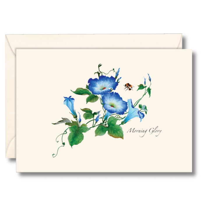 EARTH SKY & WATER NOTECARD