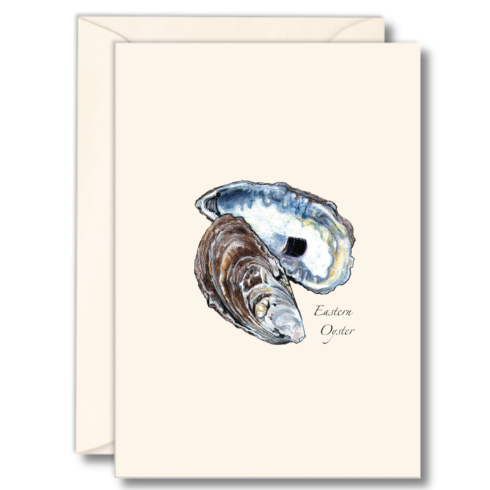 EARTH SKY & WATER NOTECARD