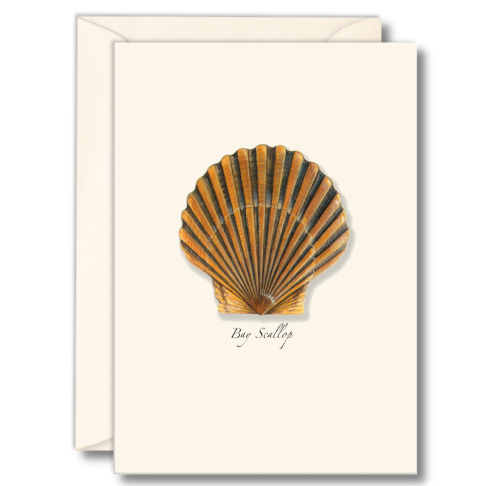 EARTH SKY & WATER NOTECARD