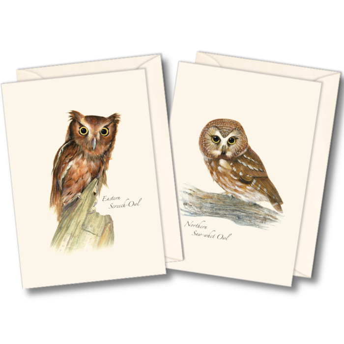 EARTH SKY & WATER NOTECARD