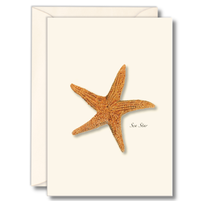 EARTH SKY & WATER NOTECARD