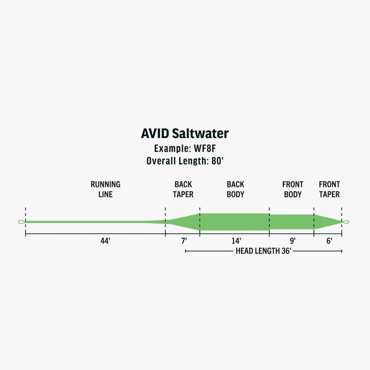 RIO AVID SALTWATER FLY LINE