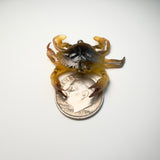 SAVAGE GEAR DURATECH CRAB