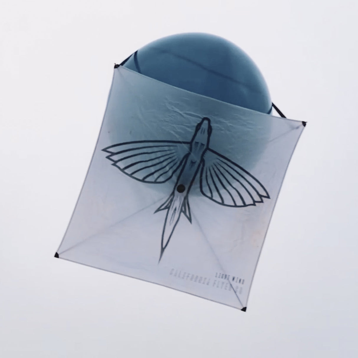 CALIFORNIA FLYER CO. LIGHT WIND FISHING KITE