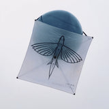 CALIFORNIA FLYER CO. LIGHT WIND FISHING KITE