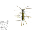 Z-MAN FUZZY BUGZ 1.75"