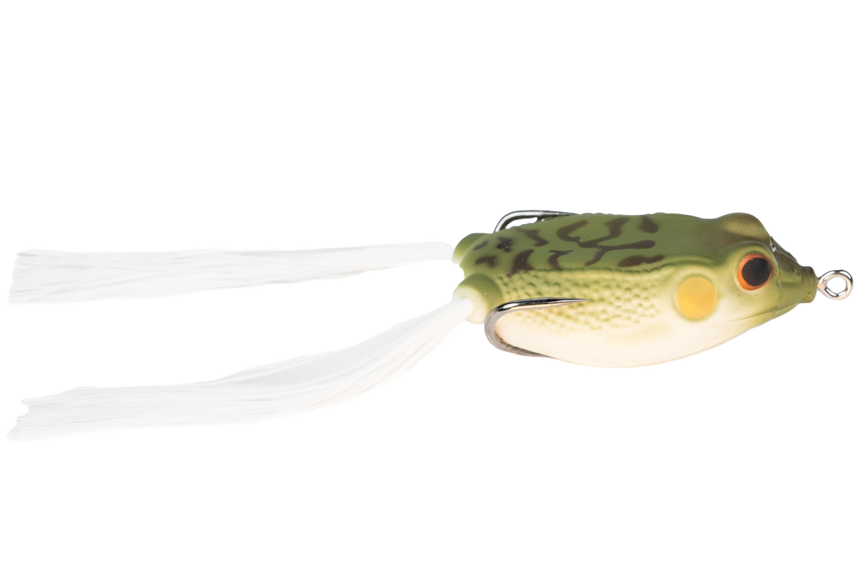 Con Frog