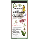 COMMON WILDFLOWERS OF THE NORTHEAST FOLDING GUIDE