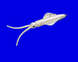 FISH SNAX 7 1/2" THE DA'SQUID QTY 3