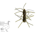 Z-MAN FUZZY BUGZ 1.75"