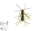 Z-MAN FUZZY BUGZ 1.75"