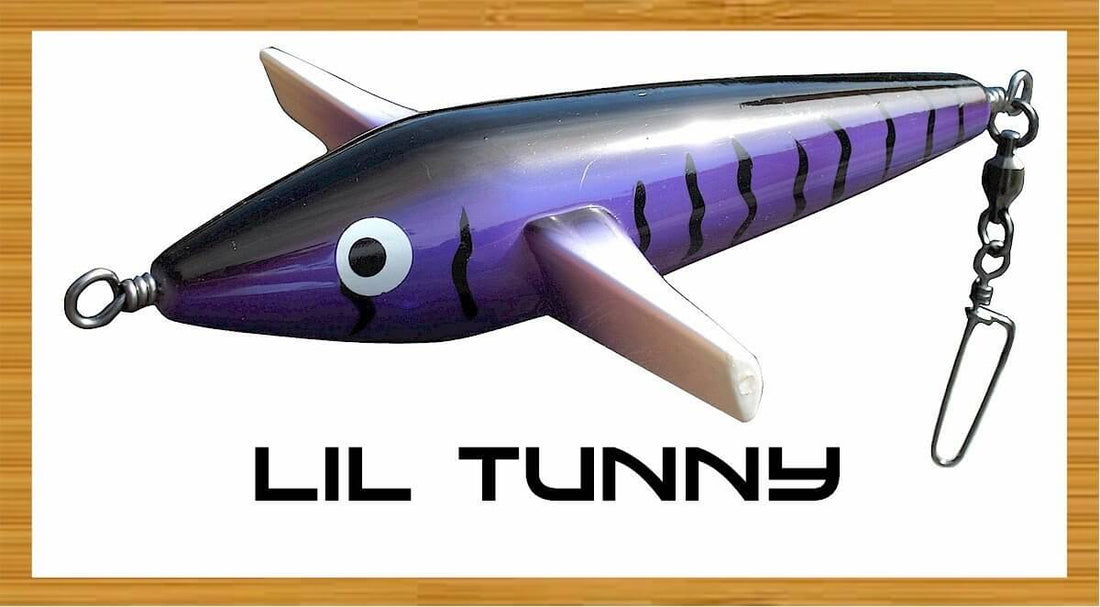 TORMENTER LOONEY BIRD 9" WIRED ABS FOAM