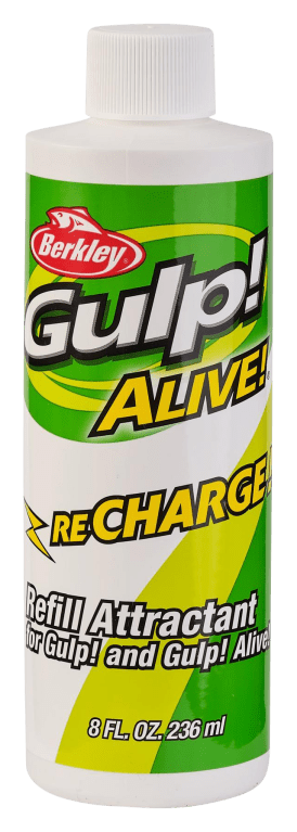 GULP! ALIVE! RECHARGE LIQUID 8 OZ NATURAL