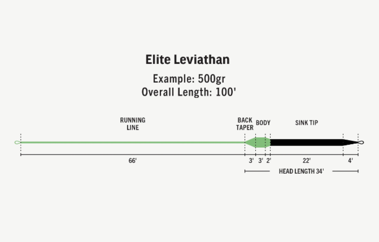 RIO ELITE LEVIATHAN 26FT SINK TIP 500GR
