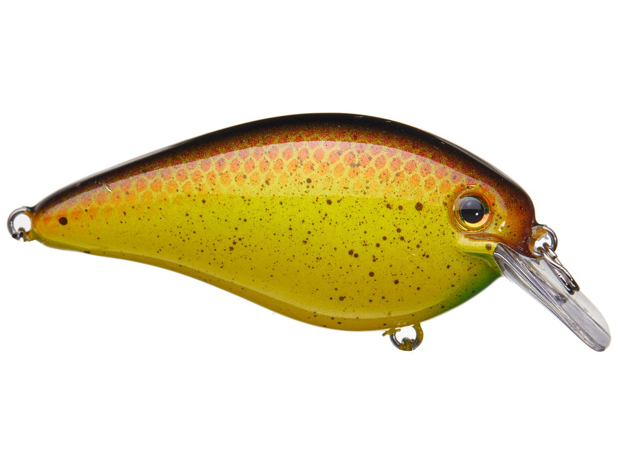 STRIKE KING KVD HC 2.5 SQUARE BILL SILENT CRANKBAIT 2 3/4" BULLY 5/8 OZ