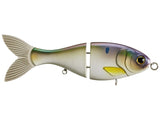 BUCCA BRAND 8" TRICK SHAD (SS)