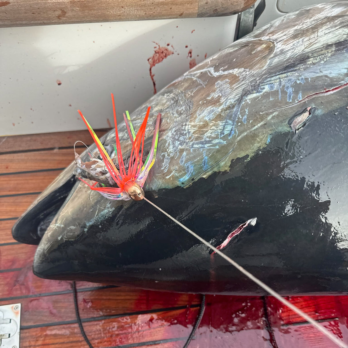 WOLFPACK 4 OZ  TUNGSTEN AHI HEAD