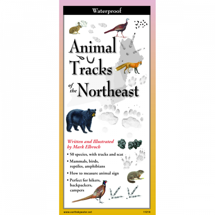 ANIMAL TRACKS OF THE NORTHEAST FOLDING GUIDE