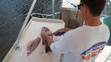 DEXTER GUY HARVEY 8" WIDE STIFF FILLET W/EDGE GUARD