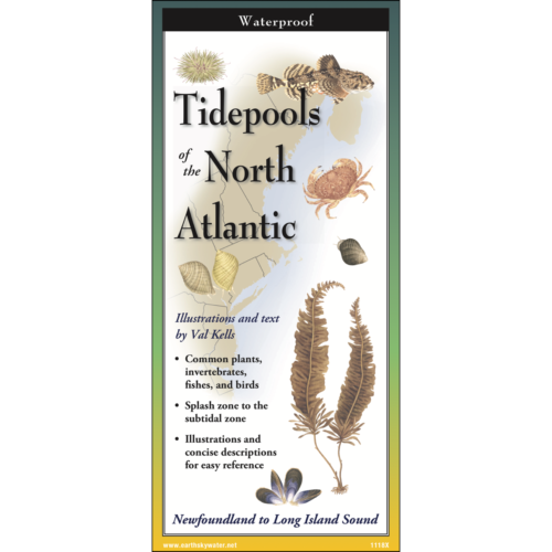 TIDEPOOLS OF THE NORTH ATLANTIC FOLDING GUIDE