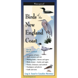 BIRDS OF NEW ENGLAND COAST FOLDING GUIDE
