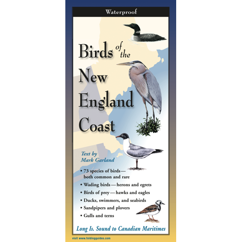 BIRDS OF NEW ENGLAND COAST FOLDING GUIDE
